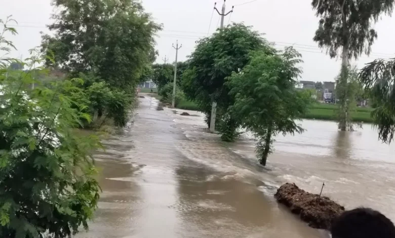 ਸਤਲੁਜ ਦੇ ਪਾਣੀ ਦਾ ਪੱਧਰ ਵਧਿਆ, ਹੜ੍ਹਾਂ ਦਾ ਸੰਕਟ ਹੋਰ ਡੂੰਘਾ ਸਤਲੁਜ ਦੇ ਪਾਣੀ ਦਾ ਪੱਧਰ ਵਧਿਆ, ਹੜ੍ਹਾਂ ਦਾ ਸੰਕਟ ਹੋਰ ਡੂੰਘਾ