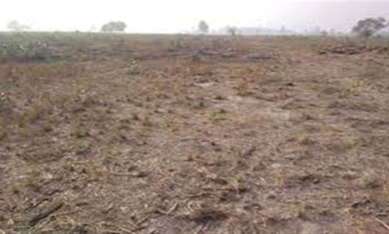 ਖ਼ਜ਼ਾਨਾ ਭਰਨ ਲਈ ਪੰਜਾਬ ਸਰਕਾਰ ਨੇ ਪੰਚਾਇਤੀ ਤੇ ਸ਼ਾਮਲਾਟ ਜ਼ਮੀਨਾਂ ਵੇਚਣ ਦੀ ਖਿੱਚੀ ਤਿਆਰੀ