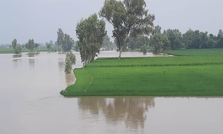 ਮੰਡ ਖੇਤਰ ਦੇ ਮੁਹੰਮਦਾਬਾਦ 'ਚ ਅਸਥਾਈ ਬੰਨ੍ਹ ਟੁੱਟਿਆ