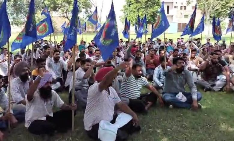 ਮਿਲਕ ਪਲਾਂਟਾਂ ਦੇ ਗੇਟਾਂ ’ਚ ਕੱਚੇ ਮੁਲਾਜ਼ਮਾਂ ਨੇ ਸਰਕਾਰ ਖ਼ਿਲਾਫ਼ ਕੀਤੀ ਨਾਅਰੇਬਾਜ਼ੀ ਮਿਲਕ ਪਲਾਂਟਾਂ ਦੇ ਗੇਟਾਂ ’ਚ ਕੱਚੇ ਮੁਲਾਜ਼ਮਾਂ ਨੇ ਸਰਕਾਰ ਖ਼ਿਲਾਫ਼ ਕੀਤੀ ਨਾਅਰੇਬਾਜ਼ੀ