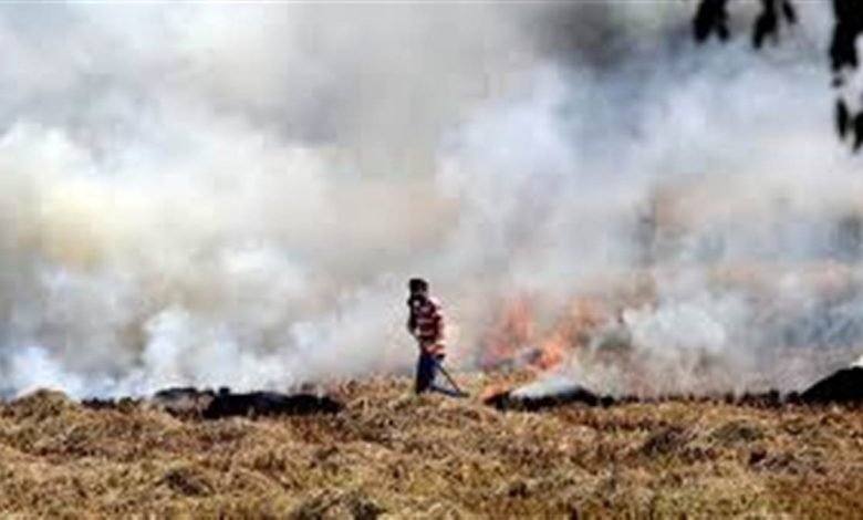 ਪਰਾਲੀ ਸਾੜਨ 'ਤੇ ਸਖ਼ਤੀ: 12 ਐਫਆਈਆਰ ਦਰਜ, 13 ਕਿਸਾਨਾਂ ਦੀ ਜ਼ਮੀਨ 'ਤੇ ਲਾਲ ਐਂਟਰੀਆਂ ਦਰਜ ਪਰਾਲੀ ਸਾੜਨ 'ਤੇ ਸਖ਼ਤੀ: 12 ਐਫਆਈਆਰ ਦਰਜ, 13 ਕਿਸਾਨਾਂ ਦੀ ਜ਼ਮੀਨ 'ਤੇ ਲਾਲ ਐਂਟਰੀਆਂ ਦਰਜ