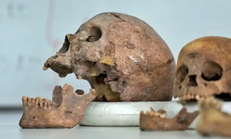 ਕਰਨਾਟਕ ਧਾਰਮਿਕ ਸਥਾਨ ਵਿਵਾਦ 'ਚ ਇੱਕ ਨਵਾਂ ਮੋੜ