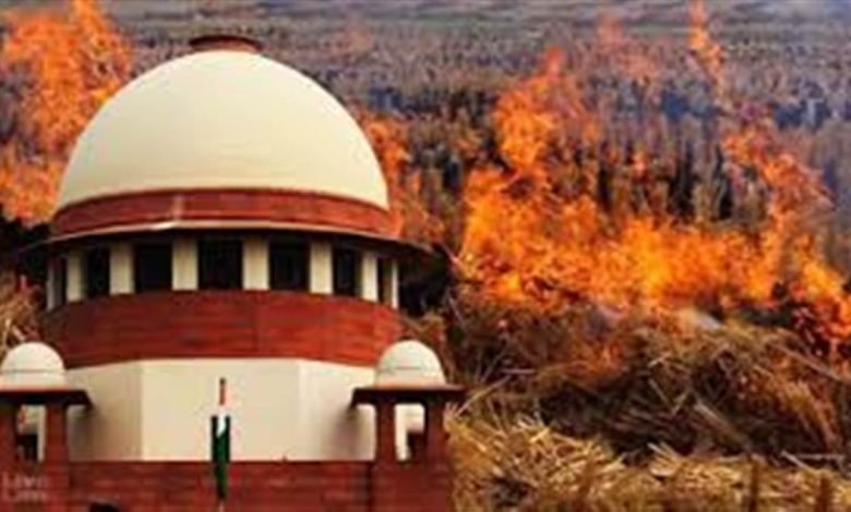 SC ਦੀ ਟਿੱਪਣੀ ਤੋਂ ਬਾਅਦ ਪਰਾਲੀ ਨੂੰ ਅੱਗ ਲਾਉਣ ਦਾ ਮੁੱਦਾ ਭਖਿਆ SC ਦੀ ਟਿੱਪਣੀ ਤੋਂ ਬਾਅਦ ਪਰਾਲੀ ਨੂੰ ਅੱਗ ਲਾਉਣ ਦਾ ਮੁੱਦਾ ਭਖਿਆ