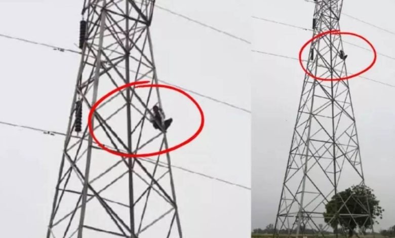 ਪ੍ਰੇਮਿਕਾ ਨਾਲ ਘਰਵਾਲਿਆਂ ਨੇ ਮਿਲਣ ਤੋਂ ਕੀਤਾ ਇਨਕਾਰ ਤਾਂ ਪ੍ਰੇਮੀ ਨੇ ਰਚਿਆ ਹਾਈ-ਵੋਲਟੇਜ ਡਰਾਮਾ, ਚੜ੍ਹਿਆ 220 KV ਟਾਵਰ ਪ੍ਰੇਮਿਕਾ ਨਾਲ ਘਰਵਾਲਿਆਂ ਨੇ ਮਿਲਣ ਤੋਂ ਕੀਤਾ ਇਨਕਾਰ ਤਾਂ ਪ੍ਰੇਮੀ ਨੇ ਰਚਿਆ ਹਾਈ-ਵੋਲਟੇਜ ਡਰਾਮਾ, ਚੜ੍ਹਿਆ 220 KV ਟਾਵਰ