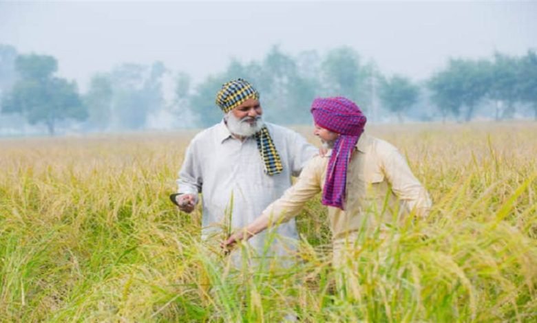 ਡਿਪਟੀ ਕਮਿਸ਼ਨਰ ਵੱਲੋਂ ਕਿਸਾਨਾਂ ਨੂੰ ਖ਼ਾਸ ਹਿਦਾਇਤ, ਝੋਨੇ ਨੂੰ ਲੈ ਕੇ ਦਿੱਤੇ ਇਹ ਹੁਕਮ ਡਿਪਟੀ ਕਮਿਸ਼ਨਰ ਵੱਲੋਂ ਕਿਸਾਨਾਂ ਨੂੰ ਖ਼ਾਸ ਹਿਦਾਇਤ, ਝੋਨੇ ਨੂੰ ਲੈ ਕੇ ਦਿੱਤੇ ਇਹ ਹੁਕਮ