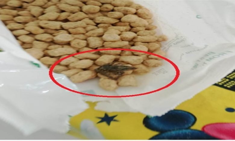 ਆਂਗਨਵਾੜੀ ਕੇਂਦਰਾਂ ’ਚ ਆਏ ਰਾਸ਼ਨ ’ਚੋਂ ਨਿਕਲਿਆ 'ਰੋਸਟਰ ਡੱਡੂ', ਬੱਚਿਆਂ ਤੇ ਮਾਵਾਂ ਦੀ ਜਾਨ ਨਾਲ ਕੀਤਾ ਜਾ ਰਿਹੈ ਖਿਲਵਾੜ