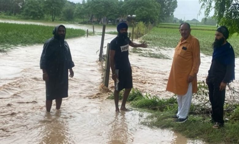 ਹੜ੍ਹ 'ਚ ਰੁੜ੍ਹੀਆਂ ਕਿਸਾਨਾਂ ਦੀਆਂ ਉਮੀਦਾਂ