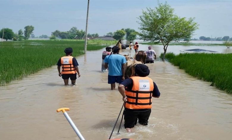 ਹਿੰਮਤੀ ਪੰਜਾਬੀਆਂ ਨੇ ਦੋਵੇਂ ਹੱਥੀਂ ਸਾਂਭਿਆ ‘ਡੁੱਬਦਾ ਪੰਜਾਬ’, NRIs ਤੇ ਹੋਰ ਸੰਸਥਾਵਾਂ ਨੇ ਫੜੀ ਹੜ੍ਹ ਪੀੜਤਾਂ ਦੀ ਬਾਂਹ