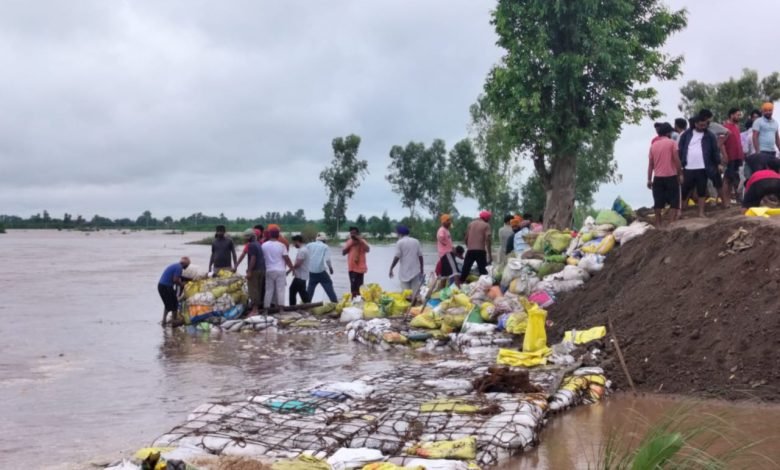 ਹੜ ਪ੍ਰਭਾਵਿਤ ਖੇਤਰਾਂ ਦੇ ਵਿੱਚ ਰਾਹਤ ਕਾਰਜ ਜਾਰੀ - ਡਿਪਟੀ ਕਮਿਸ਼ਨਰ