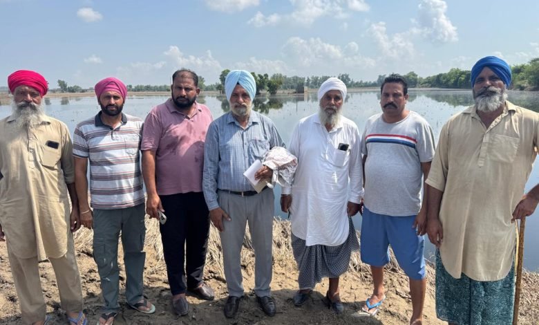 ਜ਼ਿਲ੍ਹੇ ਵਿੱਚ 113 ਪਿੰਡਾਂ ਦੇ ਵਿੱਚ ਫਸਲਾਂ ਦੇ ਨੁਕਸਾਨ ਦੀ ਵਿਸ਼ੇਸ਼ ਗਿਰਦਾਵਰੀ ਦਾ ਕੰਮ ਸ਼ੁਰੂ - ਡਿਪਟੀ ਕਮਿਸ਼ਨਰ