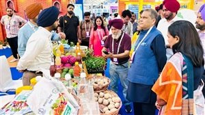 ਮਾਨ ਸਰਕਾਰ ਦਾ ਪਰਿਵਰਤਨਸ਼ੀਲ ਬਦਲਾਅ: ਪੰਜਾਬ 'ਚ ਫੂਡ ਪ੍ਰੋਸੈਸਿੰਗ ਨੇ ਵਧਾਈ ਕਿਸਾਨਾਂ ਦੀ ਆਮਦਨ, ਪੈਦਾ ਕੀਤੇ ਨਵੇਂ ਰੁਜ਼ਗਾਰ ਦੇ ਮੌਕੇ