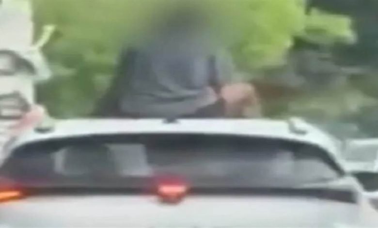 ਲੁਧਿਆਣਾ 'ਚ ਵਿਦੇਸ਼ੀ ਵਿਦਿਆਰਥੀਆਂ ਦਾ ਰੋਮਾਂਸ