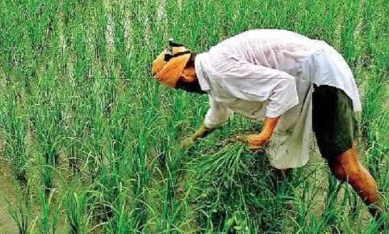 ਪੰਜਾਬ 'ਚ ਪਟਵਾਰੀਆਂ ਤੇ ਤਹਿਸੀਲਦਾਰਾਂ ਦੀ ਮਨਮਾਨੀ 'ਤੇ ਲੱਗੀ ਲਗਾਮ