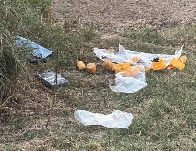 ਆਈਐੱਸਆਈ ਦੀ ਵੱਡੇ ਅੱਤਵਾਦੀ ਹਮਲੇ ਦੀ ਯੋਜਨਾ ਨਾਕਾਮ; ਅੰਮ੍ਰਿਤਸਰ 'ਚ ਤਿੰਨ ਗ੍ਰਨੇਡ, RDX ਤੇ ਡੈਟੋਨੇਟਰ ਬਰਾਮਦ