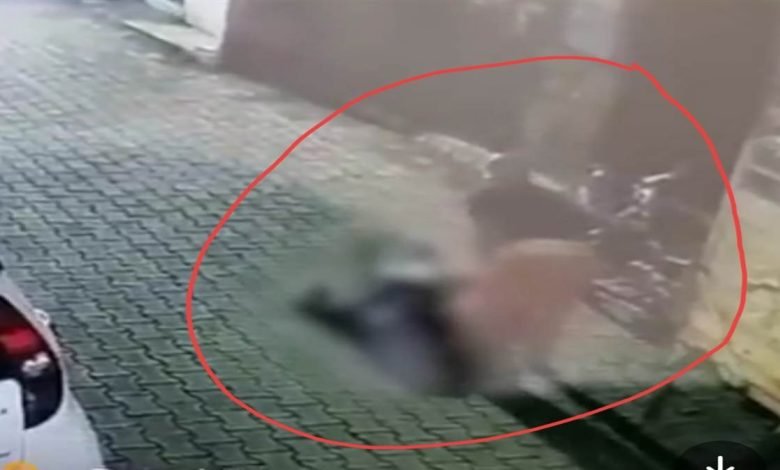 ਸ਼ੱਕੀ ਹਾਲਾਤ ’ਚ 2 ਨੌਜਵਾਨਾਂ ਦੀਆਂ ਲਾਸ਼ਾਂ ਬਰਾਮਦ