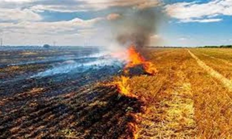 ਦੁਸਹਿਰੇ ਮੌਕੇ ਲੁਧਿਆਣਾ ਤੇ ਗੋਬਿੰਦਗੜ੍ਹ ’ਚ ਵਿਗੜਿਆ AQI