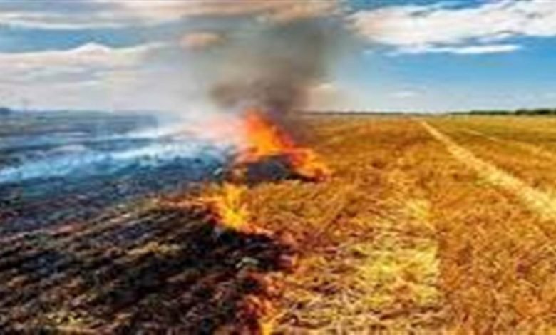 ਪਰਾਲੀ ਦੀ ਅੱਗ ਰੋਕਣ ਤੋਂ ਸਿੱਖਿਆ ਵਿਭਾਗ ਦੇ ਅਮਲੇ ਨੇ ਹੱਥ ਕੀਤੇ ਖੜ੍ਹੇ, ਧਰਨਾ ਦੇ ਕੇ ਡਿਊਟੀਆਂ ਕੱਟਣ ਦੀ ਕੀਤੀ ਮੰਗ