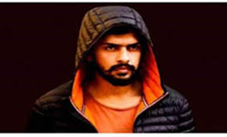 ਲਾਰੈਂਸ ਬਿਸ਼ਨੋਈ ਇੰਟਰਵਿਊ ਕੇਸ 'ਚ ਐਮਿਕਸ ਕਿਊਰੀ ਨੇ ਜਾਂਚ ’ਤੇ ਚੁੱਕੇ ਸਵਾਲ ਲਾਰੈਂਸ ਬਿਸ਼ਨੋਈ ਇੰਟਰਵਿਊ ਕੇਸ 'ਚ ਐਮਿਕਸ ਕਿਊਰੀ ਨੇ ਜਾਂਚ ’ਤੇ ਚੁੱਕੇ ਸਵਾਲ