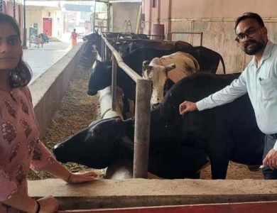 ਪਸ਼ੂਆਂ ਵਿਚ ਮੂੰਹ ਖੁਰ ਬਿਮਾਰੀ ਤੋਂ ਬਚਾਅ ਲਈ ਟੀਕਾਕਰਨ ਦੀ ਵਿਆਪਕ ਮੁਹਿੰਮ ਸ਼ੁਰੂ