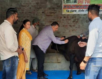 ਜ਼ਿਲ੍ਹੇ ਵਿੱਚ ਪਸ਼ੂਆਂ ਦੇ ਮੂੰਹ-ਖੁਰ ਦੀ ਬਿਮਾਰੀ ਦੇ ਬਚਾਅ ਲਈ ਟੀਕਾ ਕਰਨ ਦੀ ਮੁਹਿੰਮ ਦੀ ਸ਼ੁਰੂਆਤ