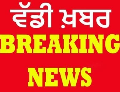 ਵੱਡਾ ਰੇਲ ਹਾਦਸਾ: ਰੇਲਗੱਡੀ ਦੀ ਲਪੇਟ 'ਚ ਆਉਣ ਕਾਰਨ 11 ਲੋਕਾਂ ਦੀ ਮੌਤ, ਦੋ ਜ਼ਖ਼ਮੀ