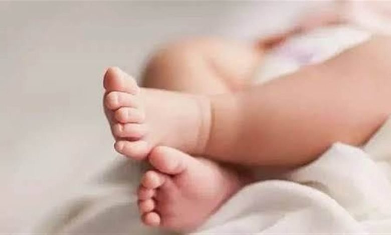 ਅੰਮ੍ਰਿਤਸਰ 'ਚ ਹੈਰਾਨੀਜਨਕ ਕਾਰਾ! ਨਵਜੰਮੀ ਬੱਚੀ ਨੂੰ ਕੰਡਿਆਂ 'ਚ ਸੁੱਟ ਕੇ ਭੱਜਿਆ ਪਰਿਵਾਰ, ICU 'ਚ ਦਾਖਲ