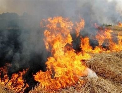 ਪਰਾਲੀ ਨੂੰ ਅੱਗ ਲਗਾਉਣ ਵਾਲੇ 11 ਕਿਸਾਨਾਂ ਖ਼ਿਲਾਫ਼ ਮਾਮਲਾ ਦਰਜ