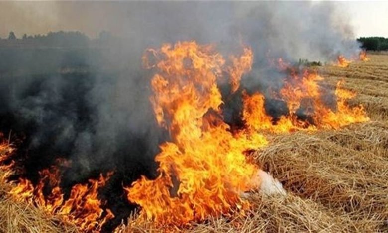ਪਰਾਲੀ ਨੂੰ ਅੱਗ ਲਗਾਉਣ ਵਾਲੇ 11 ਕਿਸਾਨਾਂ ਖ਼ਿਲਾਫ਼ ਮਾਮਲਾ ਦਰਜ