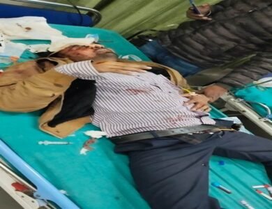 ਤੇਜ਼ ਰਫਤਾਰ ਗੱਡੀ ਨੇ ਮਾਰੀ ਟੱਕਰ; ਸਵਿਫਟ ਦਰੱਖਤ ’ਚ ਵੱਜੀ, 2 ਦੀ ਮੌਤ