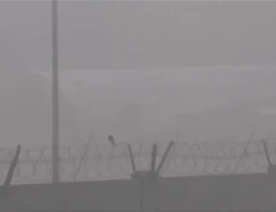 ਦਿੱਲੀ-NCR 'ਚ ਸੰਘਣੀ ਧੁੰਦ ਦਾ ਕਹਿਰ: 148 ਉਡਾਣਾਂ ਰੱਦ, ਰੇਲ ਗੱਡੀਆਂ ਦੀ ਰਫ਼ਤਾਰ 'ਤੇ ਵੀ ਲੱਗੀ ਬਰੇਕ