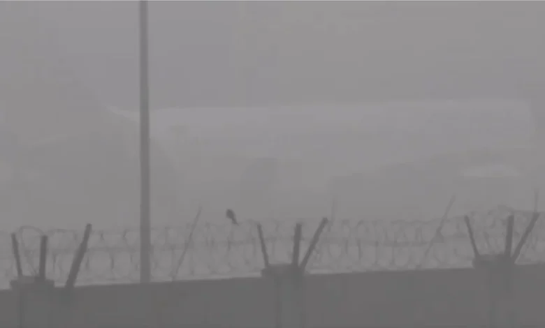 ਦਿੱਲੀ-NCR 'ਚ ਸੰਘਣੀ ਧੁੰਦ ਦਾ ਕਹਿਰ: 148 ਉਡਾਣਾਂ ਰੱਦ, ਰੇਲ ਗੱਡੀਆਂ ਦੀ ਰਫ਼ਤਾਰ 'ਤੇ ਵੀ ਲੱਗੀ ਬਰੇਕ ਦਿੱਲੀ-NCR 'ਚ ਸੰਘਣੀ ਧੁੰਦ ਦਾ ਕਹਿਰ: 148 ਉਡਾਣਾਂ ਰੱਦ, ਰੇਲ ਗੱਡੀਆਂ ਦੀ ਰਫ਼ਤਾਰ 'ਤੇ ਵੀ ਲੱਗੀ ਬਰੇਕ