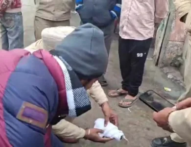 ਭਰੂਣ ਮੂੰਹ 'ਚ ਪਾ ਕੇ ਘੁੰਮ ਰਹੇ ਸੀ ਕੁੱਤੇ, ਲੋਕਾਂ ਨੇ ਕੀਤਾ ਬਰਾਮਦ