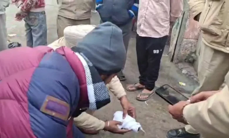 ਭਰੂਣ ਮੂੰਹ 'ਚ ਪਾ ਕੇ ਘੁੰਮ ਰਹੇ ਸੀ ਕੁੱਤੇ, ਲੋਕਾਂ ਨੇ ਕੀਤਾ ਬਰਾਮਦ