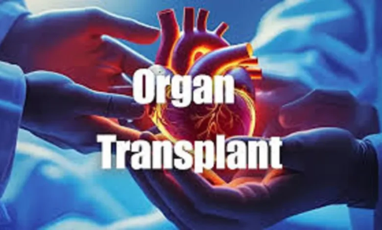 ਸਿਹਤ ਪ੍ਰਣਾਲੀ ਦੀ ਬੇਵੱਸੀ: ਚੰਡੀਗੜ੍ਹ 'ਚ ਅੰਗ ਟਰਾਂਸਪਲਾਂਟੇਸ਼ਨ ਲਈ 6,992 ਮਰੀਜ਼ਾਂ ਦੀ ਲੰਬੀ ਕਤਾਰ