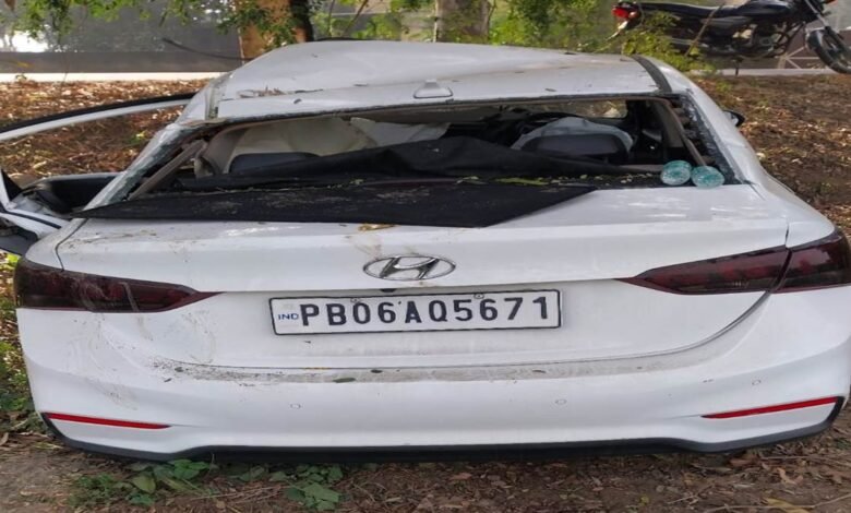 ਤੇਜ਼ ਰਫ਼ਤਾਰ ਕਾਰ ਸੜਕ ਕਿਨਾਰੇ ਦਰੱਖ਼ਤ 'ਚ ਵੱਜੀ, ਦਾਦੀ-ਪੋਤੇ ਦੀ ਮੌਤ