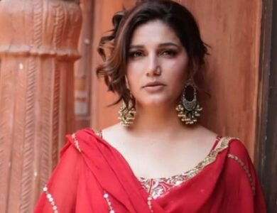 ਹਾਈ ਕੋਰਟ ਨੇ ਸਪਨਾ ਚੌਧਰੀ ਦੇ ਹੱਕ 'ਚ ਸੁਣਾਇਆ ਫੈਸਲਾ