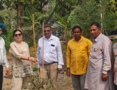 ਵੱਖ-ਵੱਖ ਤਰ੍ਹਾਂ ਦੇ ਫ਼ਲਦਾਰ ਬੂਟੇ ਲਗਾ ਮਨਾਇਆ ਜਨਮ ਦਿਨ - ਤਰਲੋਚਨ ਚੋਪੜਾ