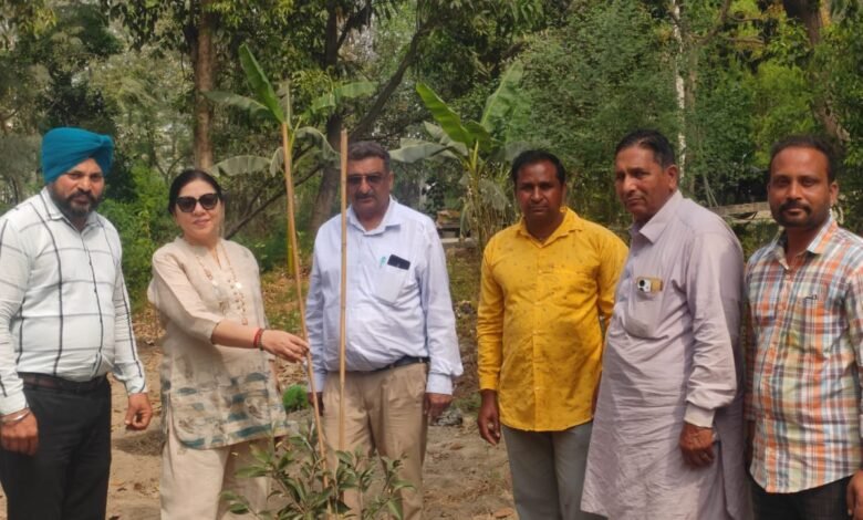 ਵੱਖ-ਵੱਖ ਤਰ੍ਹਾਂ ਦੇ ਫ਼ਲਦਾਰ ਬੂਟੇ ਲਗਾ ਮਨਾਇਆ ਜਨਮ ਦਿਨ - ਤਰਲੋਚਨ ਚੋਪੜਾ