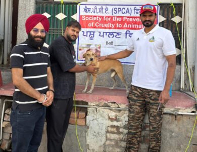 ਵਿਸ਼ਵ ਰੇਬੀਜ਼ ਦਿਵਸ ਤੇ ਲਗਾਇਆ ਅਵਾਰਾ ਕੁੱਤਿਆਂ ਨੂੰ ਮੁਫ਼ਤ ਐਂਟੀ-ਰੇਬੀਜ਼ ਟੀਕਾਕਰਨ ਕੈਂਪ ਵਿਸ਼ਵ ਰੇਬੀਜ਼ ਦਿਵਸ ਤੇ ਲਗਾਇਆ ਅਵਾਰਾ ਕੁੱਤਿਆਂ ਨੂੰ ਮੁਫ਼ਤ ਐਂਟੀ-ਰੇਬੀਜ਼ ਟੀਕਾਕਰਨ ਕੈਂਪ