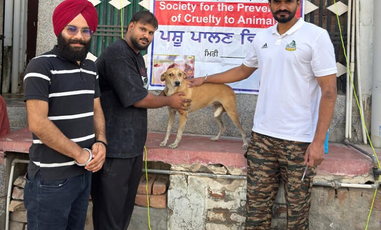 ਵਿਸ਼ਵ ਰੇਬੀਜ਼ ਦਿਵਸ ਤੇ ਲਗਾਇਆ ਅਵਾਰਾ ਕੁੱਤਿਆਂ ਨੂੰ ਮੁਫ਼ਤ ਐਂਟੀ-ਰੇਬੀਜ਼ ਟੀਕਾਕਰਨ ਕੈਂਪ ਵਿਸ਼ਵ ਰੇਬੀਜ਼ ਦਿਵਸ ਤੇ ਲਗਾਇਆ ਅਵਾਰਾ ਕੁੱਤਿਆਂ ਨੂੰ ਮੁਫ਼ਤ ਐਂਟੀ-ਰੇਬੀਜ਼ ਟੀਕਾਕਰਨ ਕੈਂਪ